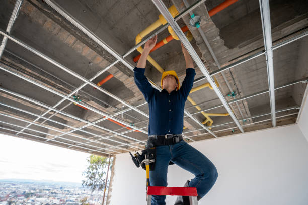 Best Sprinkler Systems  in Emmitsburg, MD